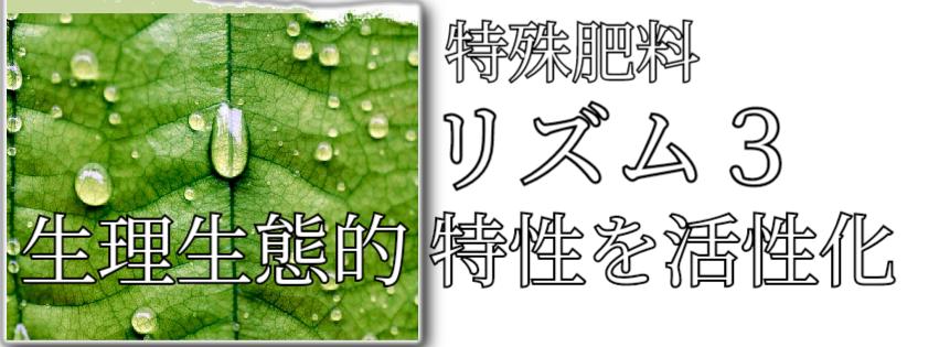 リズム3